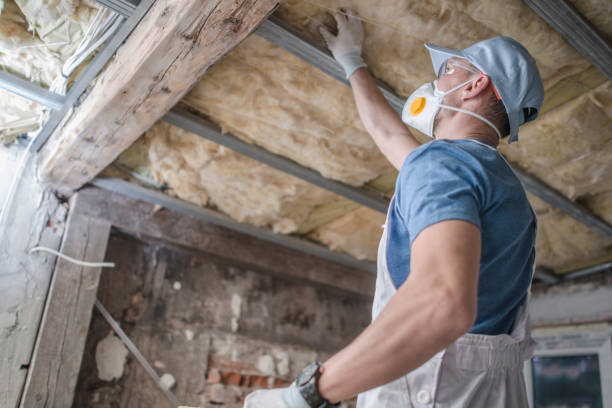 Best Residential Insulation in Walnut Grove, CA