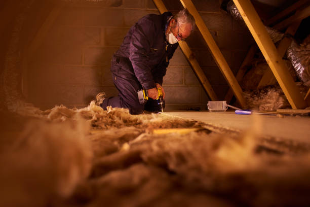 Best Insulation Installation Services in Walnut Grove, CA
